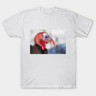 Wild Turkey Closeup T-Shirt